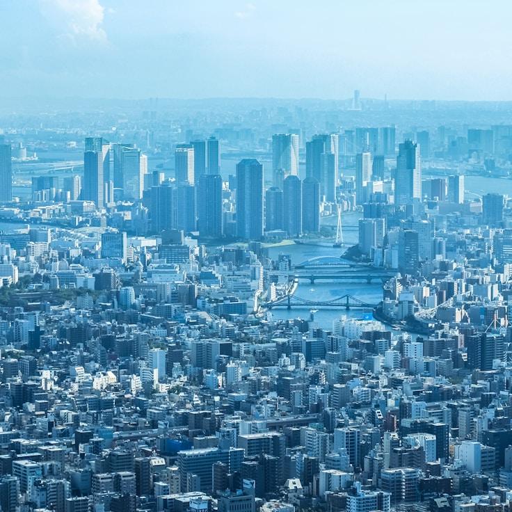 Family routine and school logistics in Madrid